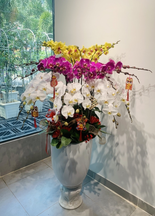 Màu Hoa Chúc Mừng - 30 Cây 