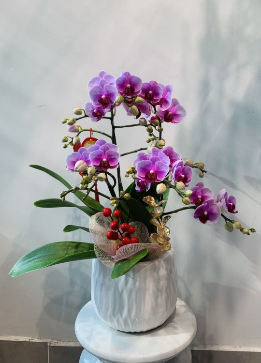 Hoa Để Bàn Mini - 2 cây 