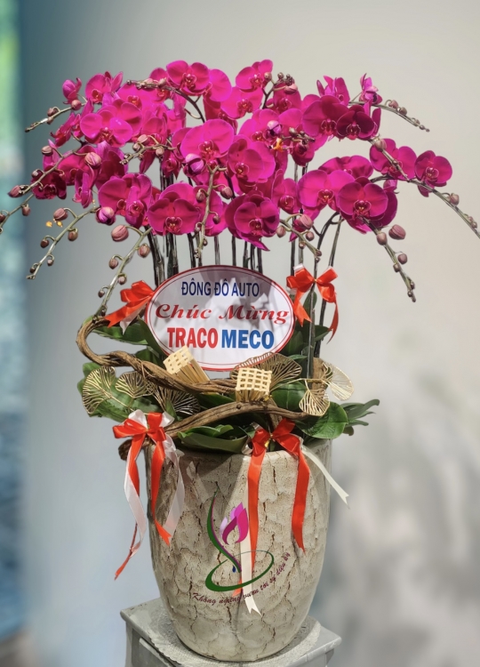 LHĐ Tết08 15 Cây