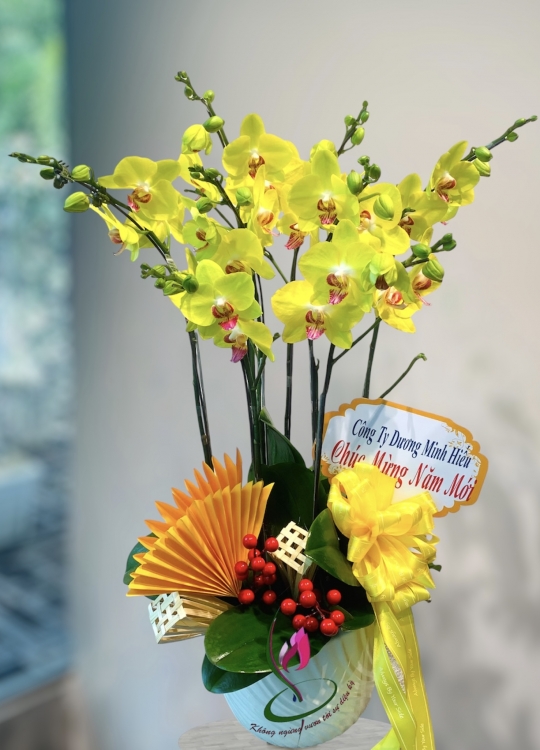 LHĐ Tết06 4 Cây 2 Vòi