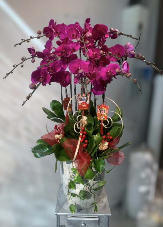 LHĐ Tết11 10 Cây